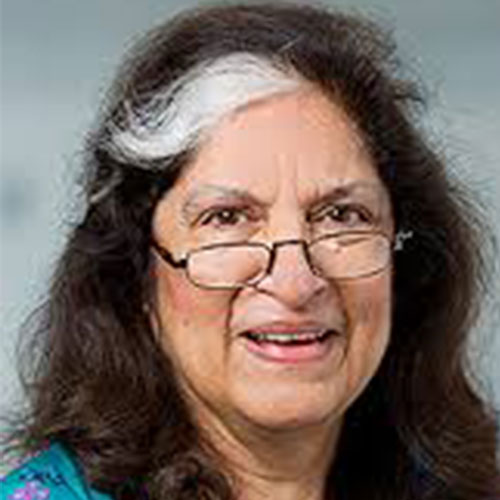 Dr. Farhat Moazam